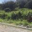  Land for sale in Vilcabamba Victoria, Loja, Vilcabamba Victoria, Loja, Loja
