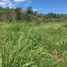  Land for sale in Vilcabamba Victoria, Loja, Vilcabamba Victoria, Loja, Loja