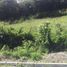  Land for sale in Vilcabamba Victoria, Loja, Vilcabamba Victoria, Loja, Loja