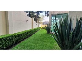 3 Bedroom Apartment for rent in Cuajimalpa De Morelos, Mexico City, Cuajimalpa De Morelos