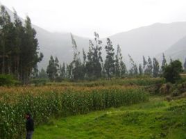  Terrain for sale in Urubamba, Cusco, Urubamba, Urubamba