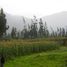  Grundstück zu verkaufen in Urubamba, Cusco, Urubamba