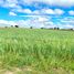  Land for sale in Nopalucan, Puebla, Nopalucan