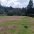  Terrain for sale in Girardota, Antioquia, Girardota