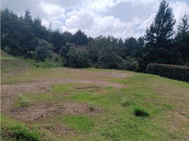  Land for sale in Girardota, Antioquia, Girardota