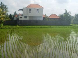  Grundstück zu verkaufen in Gianyar, Bali, Ubud