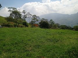  Terreno (Parcela) en venta en Girardota, Antioquia, Girardota