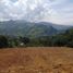  Land for sale in Girardota, Antioquia, Girardota