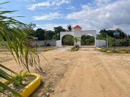  Grundstück zu verkaufen in Dist Juquila, Oaxaca, Dist Juquila