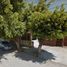 3 Habitación Villa en venta en Mazatlan, Sinaloa, Mazatlan