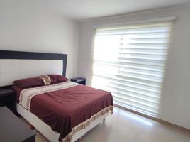 2 Habitación Apartamento en alquiler en Manlio Fabio Altamirano, Veracruz, Manlio Fabio Altamirano