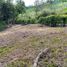  Land for sale in Caldas, Manizales, Caldas