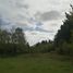  Land for sale in Los Lagos, Purranque, Osorno, Los Lagos