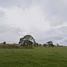  Land for sale in Los Lagos, Purranque, Osorno, Los Lagos