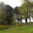  Land for sale in Los Lagos, Purranque, Osorno, Los Lagos