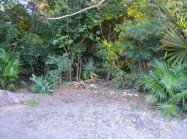  Terreno (Parcela) en venta en Cozumel, Quintana Roo, Cozumel, Quintana Roo