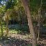  Terreno (Parcela) en venta en Cozumel, Quintana Roo, Cozumel, Quintana Roo