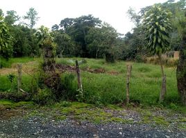  Terreno (Parcela) en venta en Chinacota, Norte De Santander, Chinacota