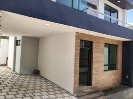 3 Schlafzimmer Haus zu verkaufen in Coatepec, Veracruz, Coatepec