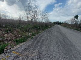  Land for sale in Tixkokob, Yucatan, Tixkokob