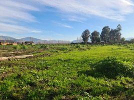  Terreno (Parcela) en venta en Chile, Puente Alto, Cordillera, Santiago, Chile