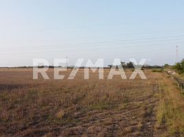  Terreno (Parcela) en alquiler en Altamira, Tamaulipas, Altamira, Tamaulipas