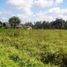  Land for sale in Ubud, Gianyar, Ubud