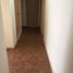 25 SqM Office for rent in Chile, Mariquina, Valdivia, Los Rios, Chile