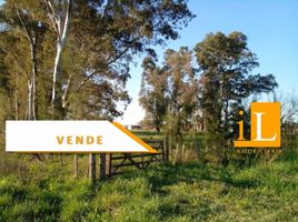  Terreno (Parcela) en venta en Brandsen, Buenos Aires, Brandsen