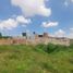  Land for sale in Zapopan, Jalisco, Zapopan, Jalisco