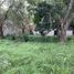  Land for sale in San Vicente, Buenos Aires, San Vicente