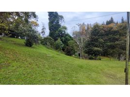 4 Bedroom Villa for sale in Guarne, Antioquia, Guarne