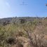  Land for sale in Purisima Del Rincon, Guanajuato, Purisima Del Rincon