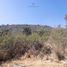  Land for sale in Purisima Del Rincon, Guanajuato, Purisima Del Rincon