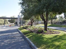  Land for sale in Santiago, Santiago, Santiago, Santiago