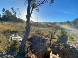  Land for sale in Chile, Quemchi, Chiloe, Los Lagos, Chile