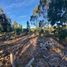  Land for sale in Chile, Quemchi, Chiloe, Los Lagos, Chile