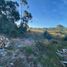  Land for sale in Chile, Quemchi, Chiloe, Los Lagos, Chile