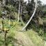  Terrain for sale in Gianyar, Bali, Tegallalang, Gianyar