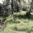  Land for sale in Gianyar, Bali, Tegallalang, Gianyar