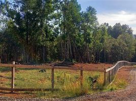  Terreno (Parcela) en venta en Los Ríos, Mariquina, Valdivia, Los Ríos