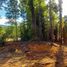  Terreno (Parcela) en venta en Los Ríos, Mariquina, Valdivia, Los Ríos