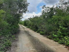  Grundstück zu verkaufen in Conkal, Yucatan, Conkal