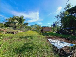 2 Schlafzimmer Haus zu verkaufen in David, Chiriqui, San Pablo Viejo