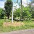  Land for sale in Chiriqui, Caldera, Boquete, Chiriqui