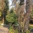  Land for sale in Chile, Santiago, Santiago, Santiago, Chile