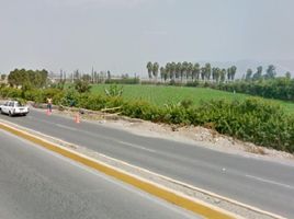  Terreno (Parcela) en venta en Huaral, Lima, Huaral, Huaral