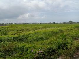  Terrain for sale in Ginyar, Gianyar, Ginyar