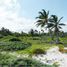 Terrain à vendre à Othon P Blanco, Quintana Roo, Othon P Blanco