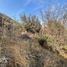  Land for sale in Santiago, Santiago, Santiago, Santiago